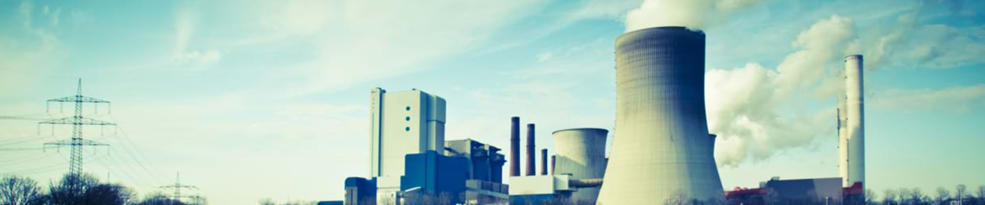 Environmental Auditing